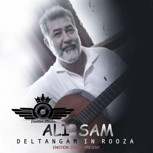 علی سام دلتنگم این روزا